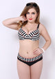 Inda Hight Waist Dot Striped Bikini